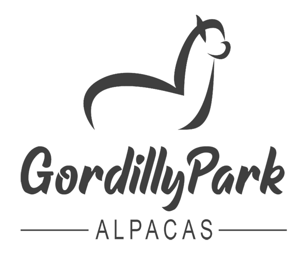 Gordilly Park Alpacas Gordilly Park Alpacas