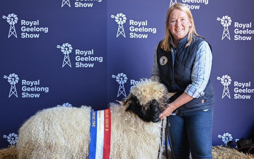 Geelong Show