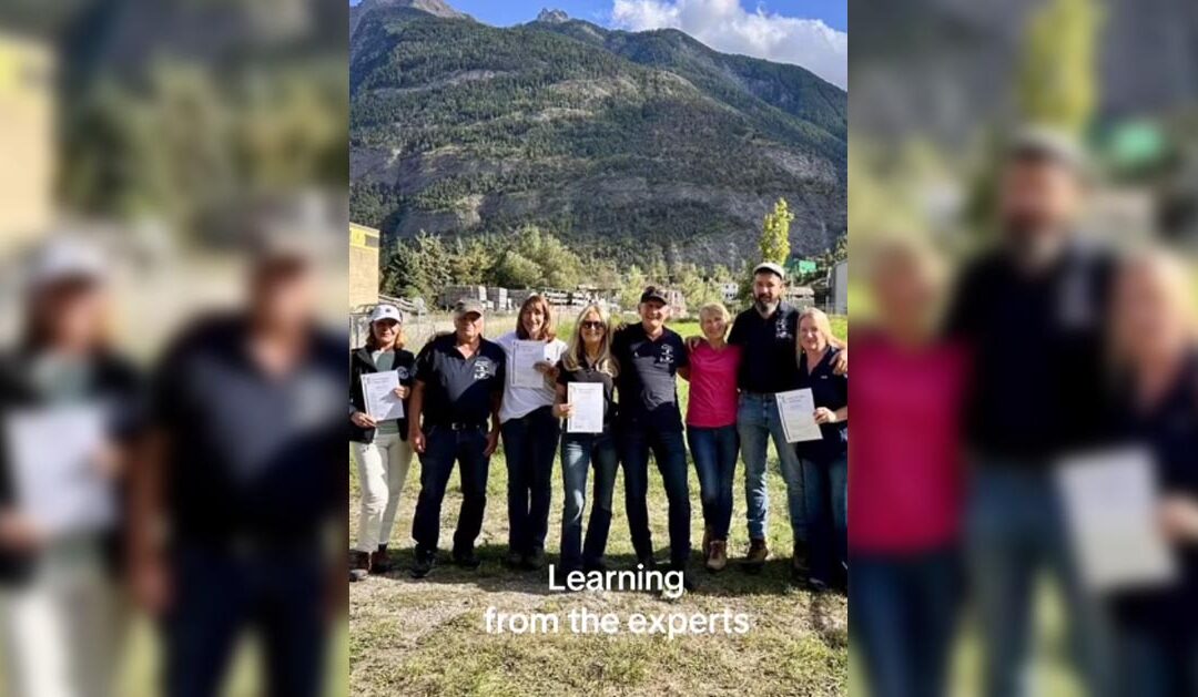 Learning from experts