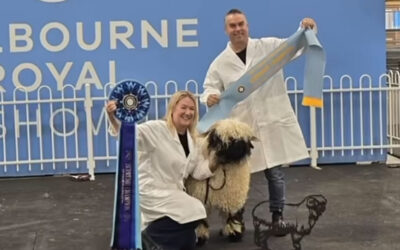 Melbourne Royal Show 2025 – A Celebration