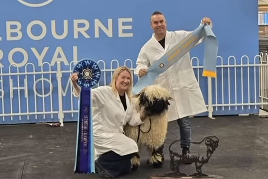Royal Melb Show